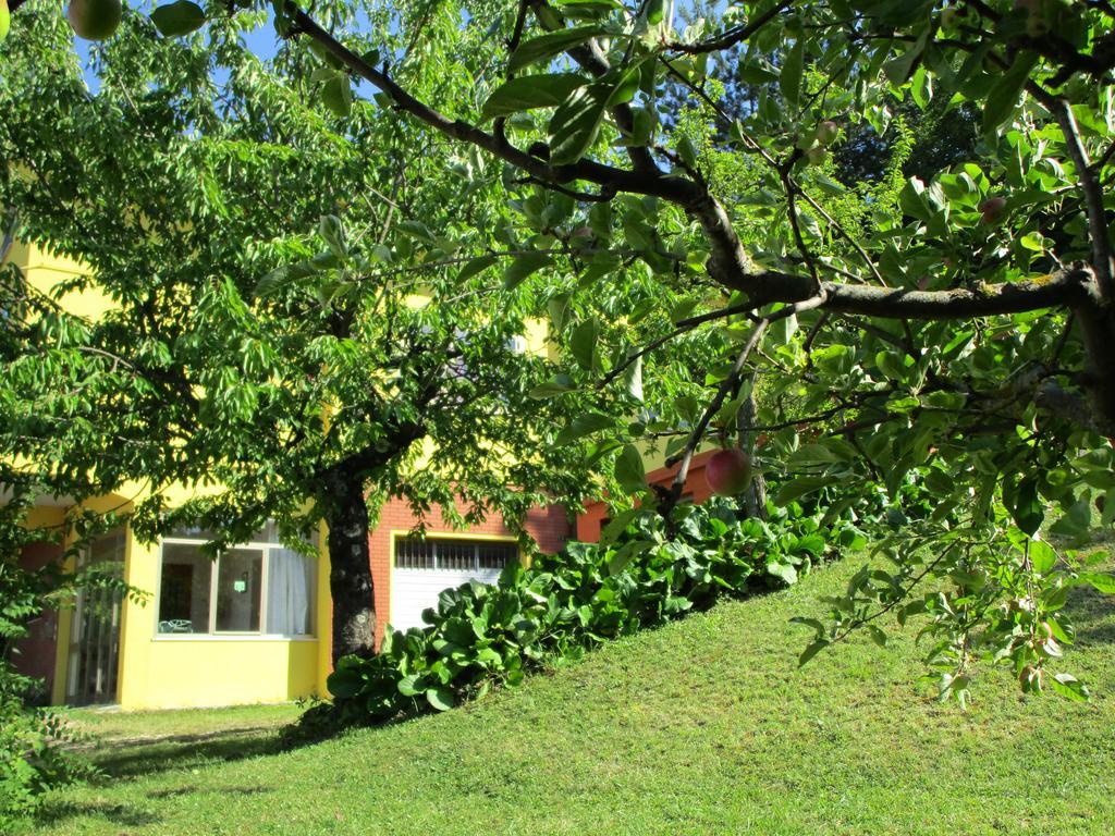 Casa Balducci Bed&Breakfast Mercatello sul Metauro Exterior photo