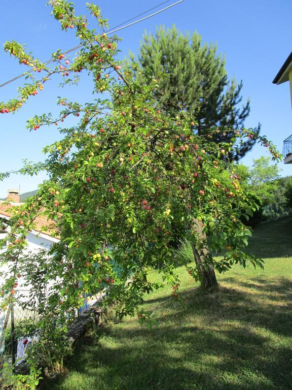 Casa Balducci Bed&Breakfast Mercatello sul Metauro Exterior photo